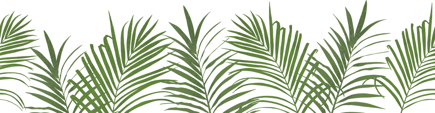 Tropical green leaves border. Palm leaves border